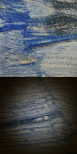 Azul Macauba