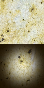 Colonial Cream