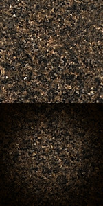 Tropical Brown