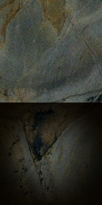 Turtle Blue
